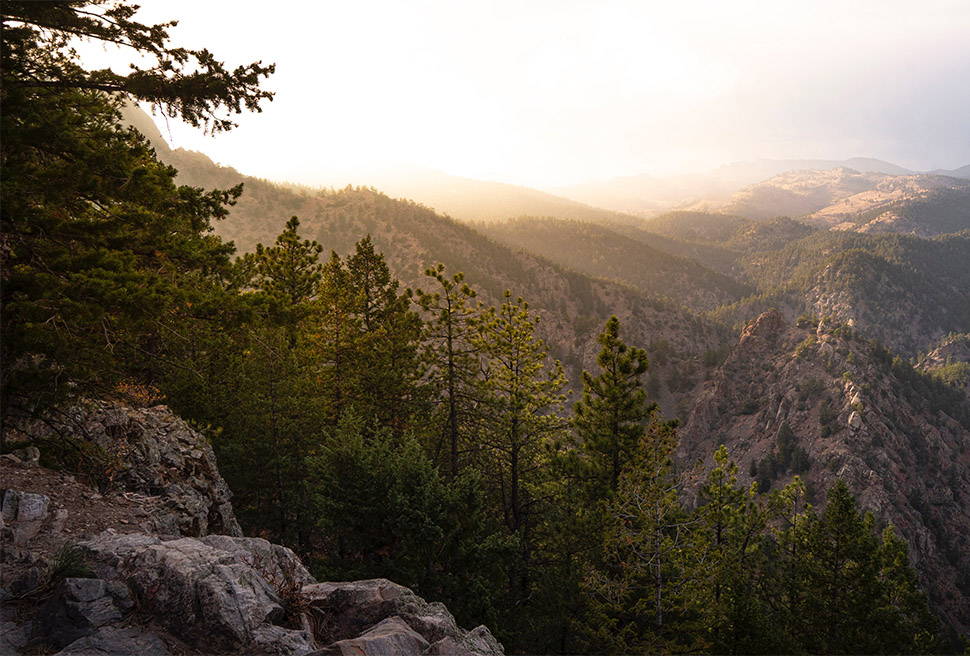 Rocky mountainous area with pine trees.