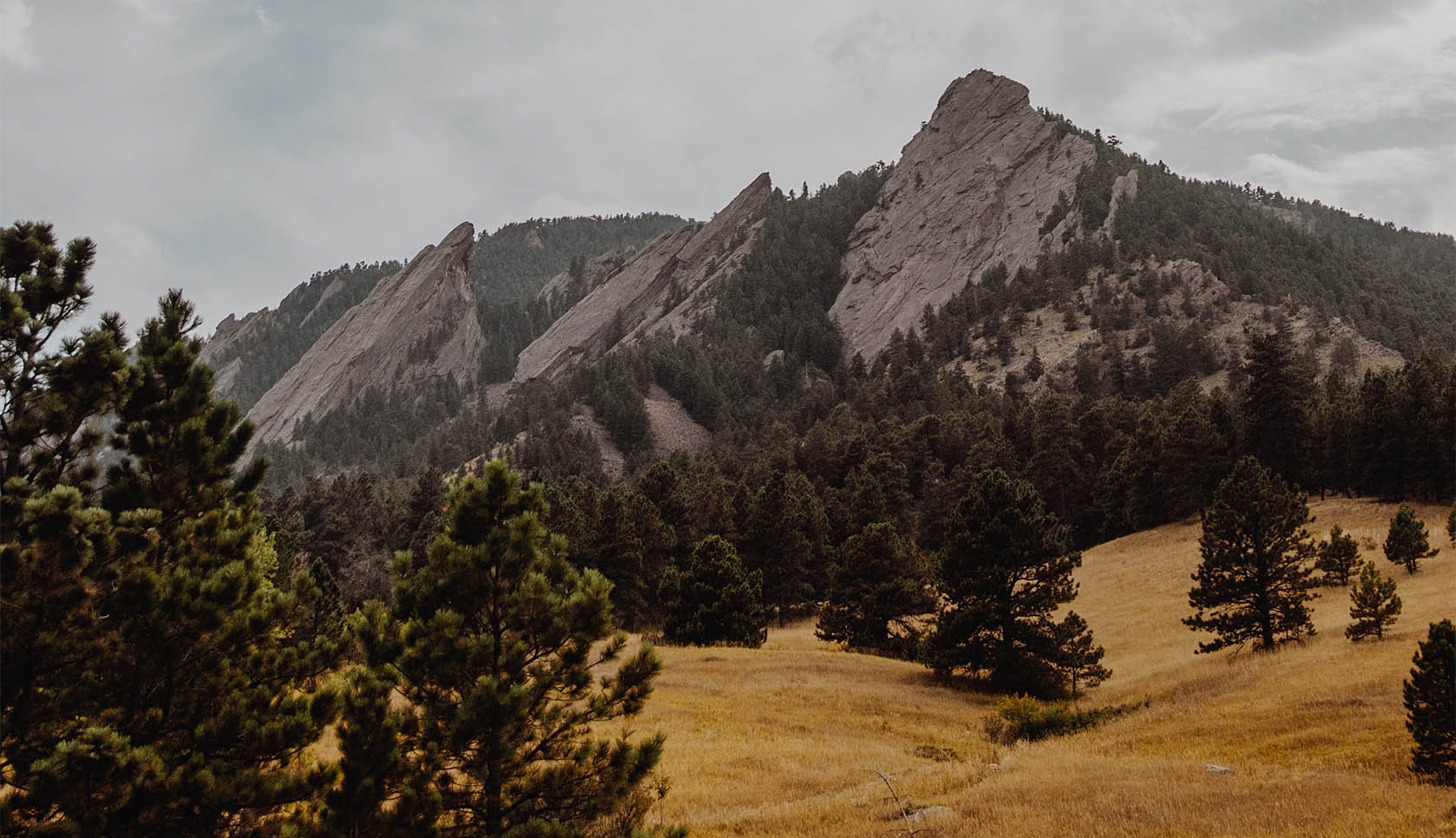 Flatirons in Boulder with dense forests and grassy meadows.