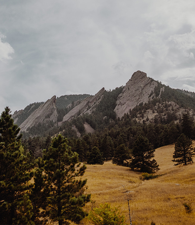 Flatirons in Boulder with dense forests and grassy meadows.